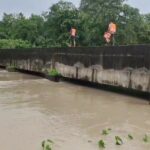 Heavy rain in Madhya Pradesh